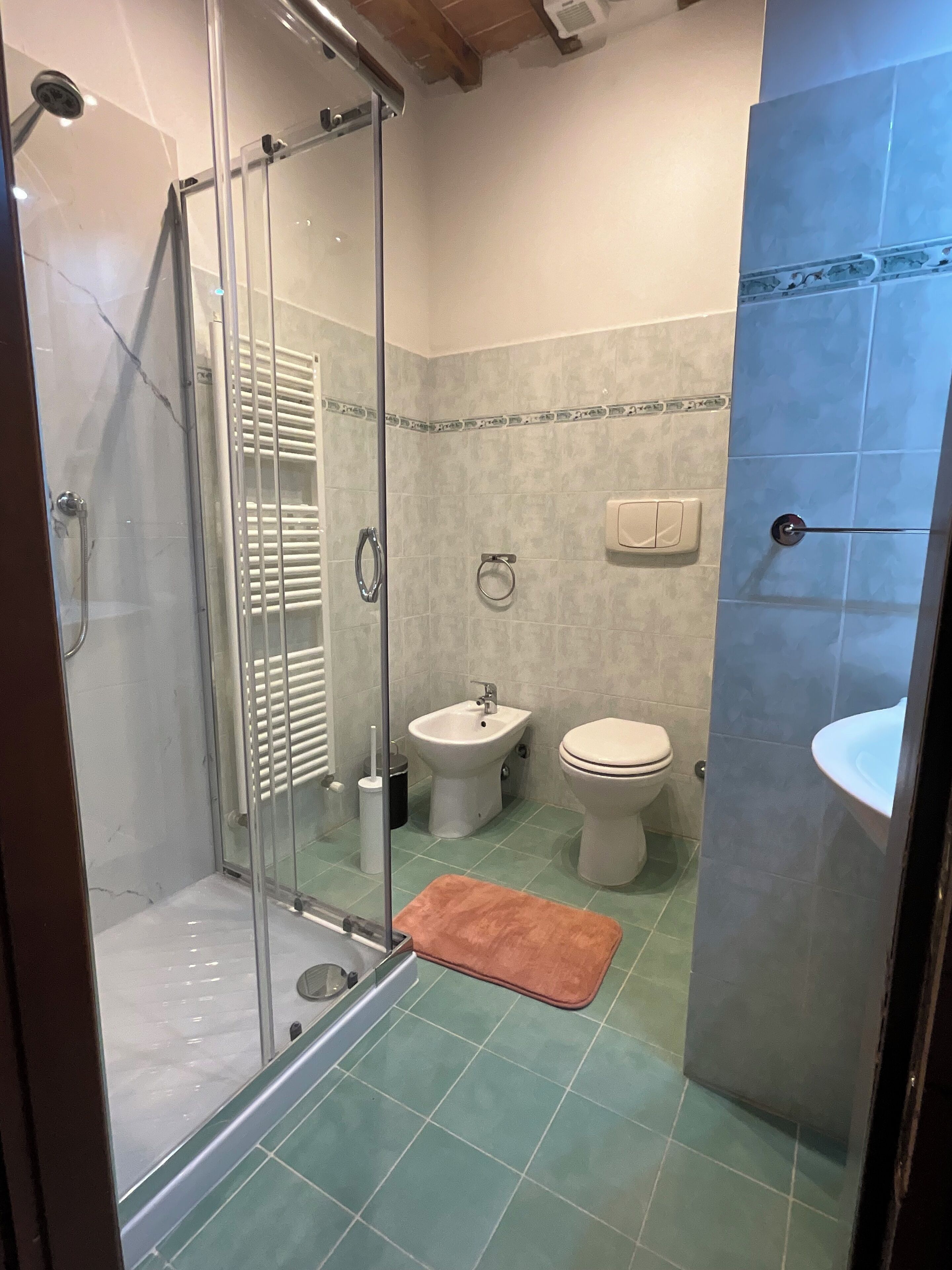 Hair dryer, towels, soap, toilet paper