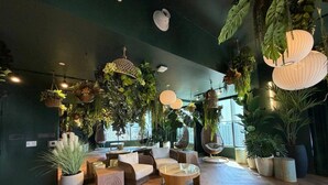 En rummelig lounge med trægulv, behagelige siddepladser og flere krukker med planter.