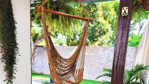 A hanging chair in a well-maintained garden area with potted plants and a view of a grassy landscape. - Cozy and stylish house in Alter do Chão. (Alter do Chão)