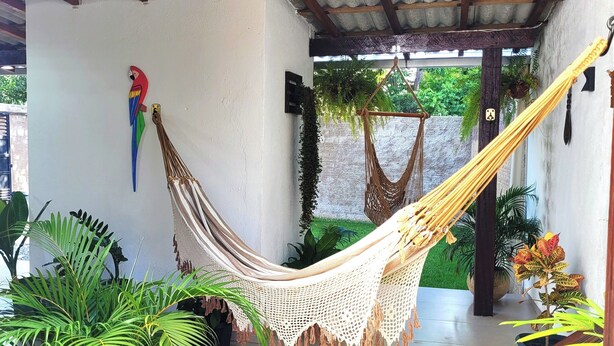 A hammock suspended between two walls in a room with potted plants and a wooden bench. - Cozy and stylish house in Alter do Chão. (Alter do Chão)