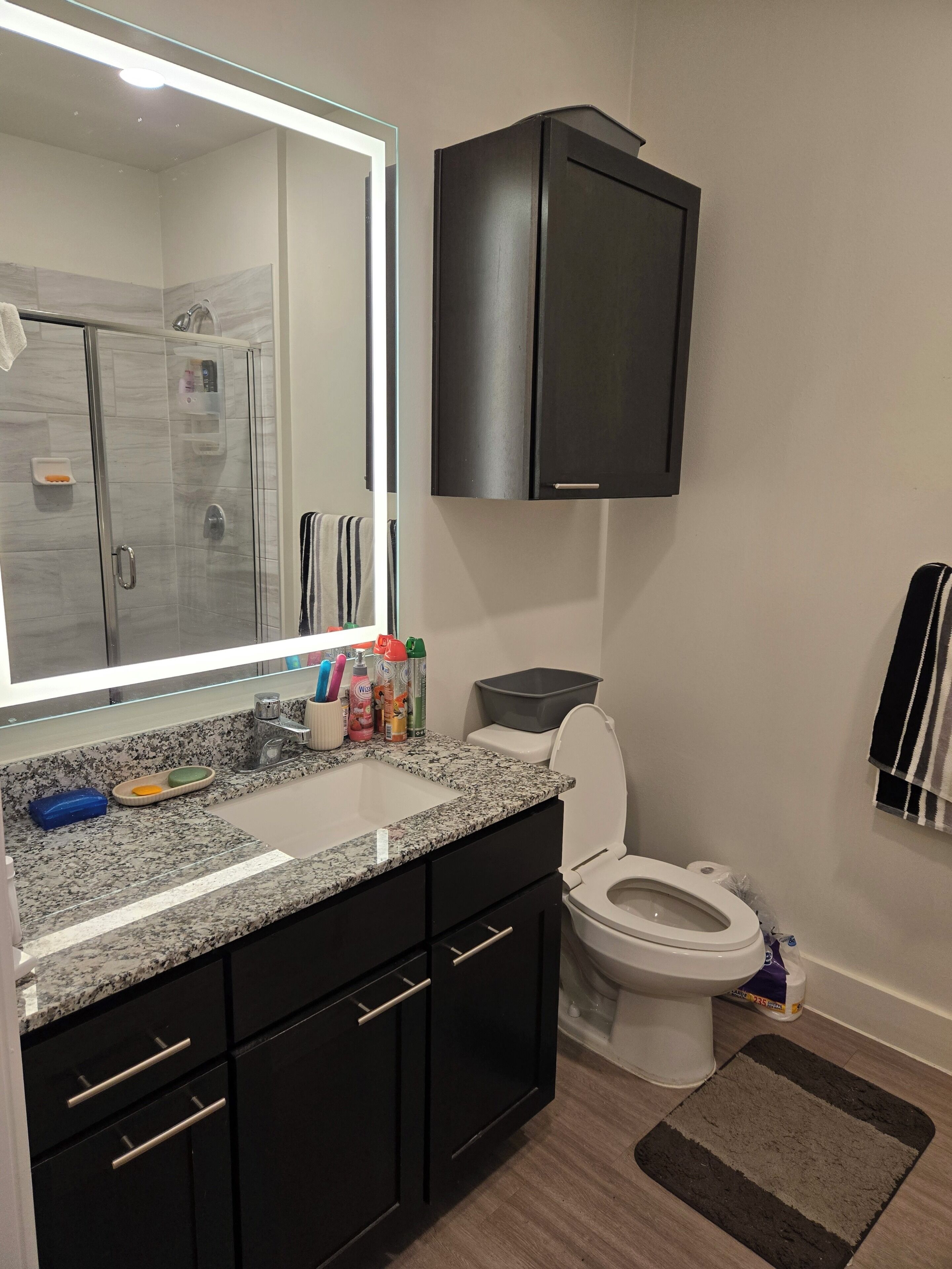 Shower, hair dryer, towels, toilet paper