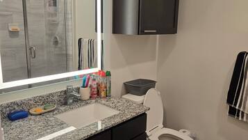 Shower, hair dryer, towels, toilet paper