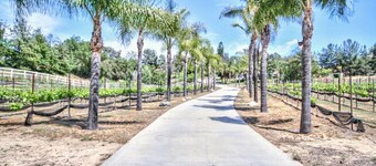 Rancho Vista Estate on 3 acre, Private grapevines