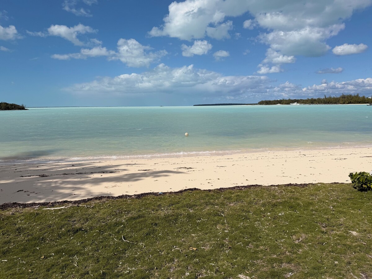 Imagen de perfil del propietario o de la propietaria