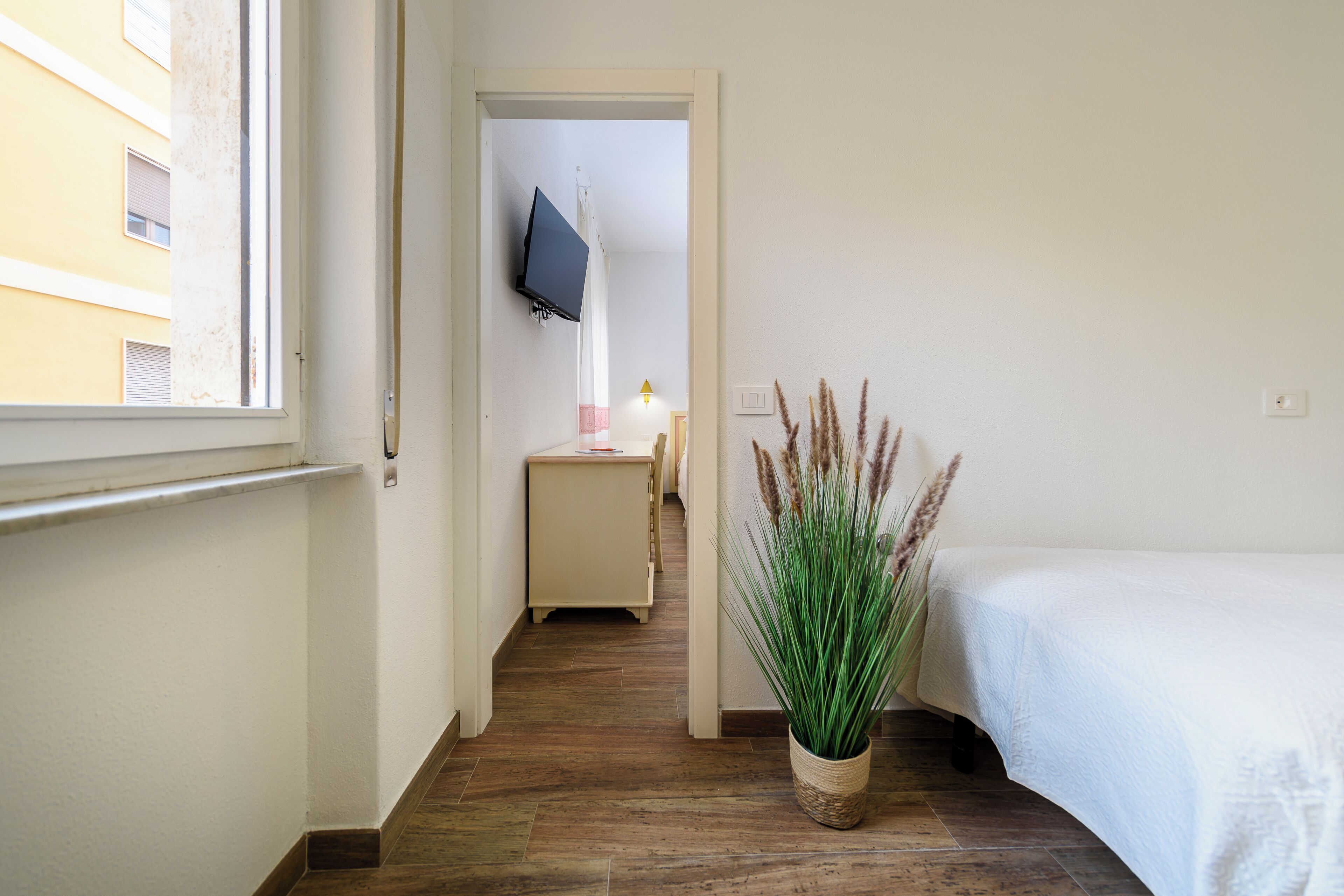 A hotel room with a bed, a potted plant, a TV mounted on the wall, and a wooden floor.