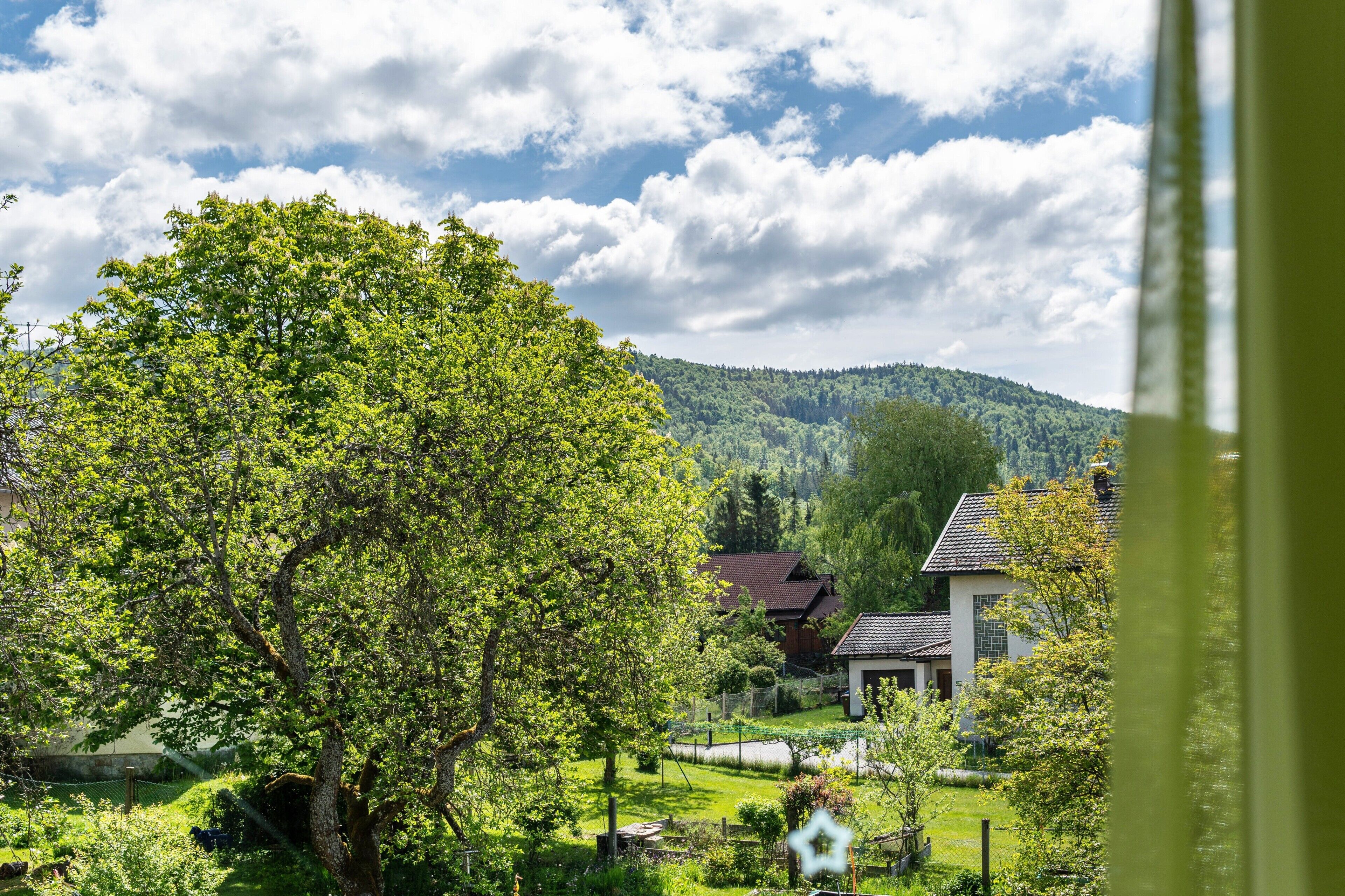 Un paysage rural avec un grand arbre, des maisons et un arrière-plan vallonné.