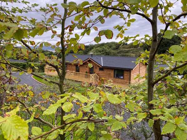 Exterior - Quaint Conwy Lodge Retreat (Conwy)