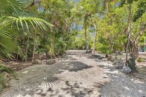 A gravel path flanked by palm trees and other vegetation, leading to a building with a covered area. - Serenity Bay Estate-FL Keys Best Kept Secret! Beautiful, Quiet, Tropical Pardise (Marathon)