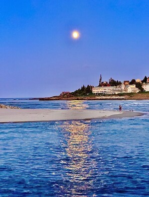 Beach - OGT Oceanfront Condo stunning deck views, 1BR/1BA, steps to town + main beach (Ogunquit)