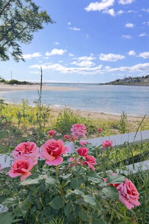 Beach - OGT Oceanfront Condo stunning deck views, 1BR/1BA, steps to town + main beach (Ogunquit)