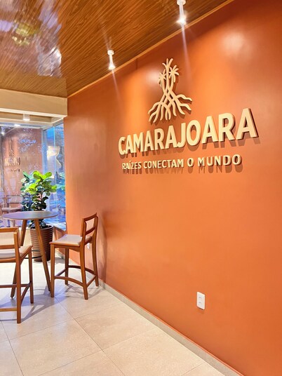 5 minutes from the Hangar. Fully equipped guesthouse: kitchen, living room and balcony, all air-conditioned.