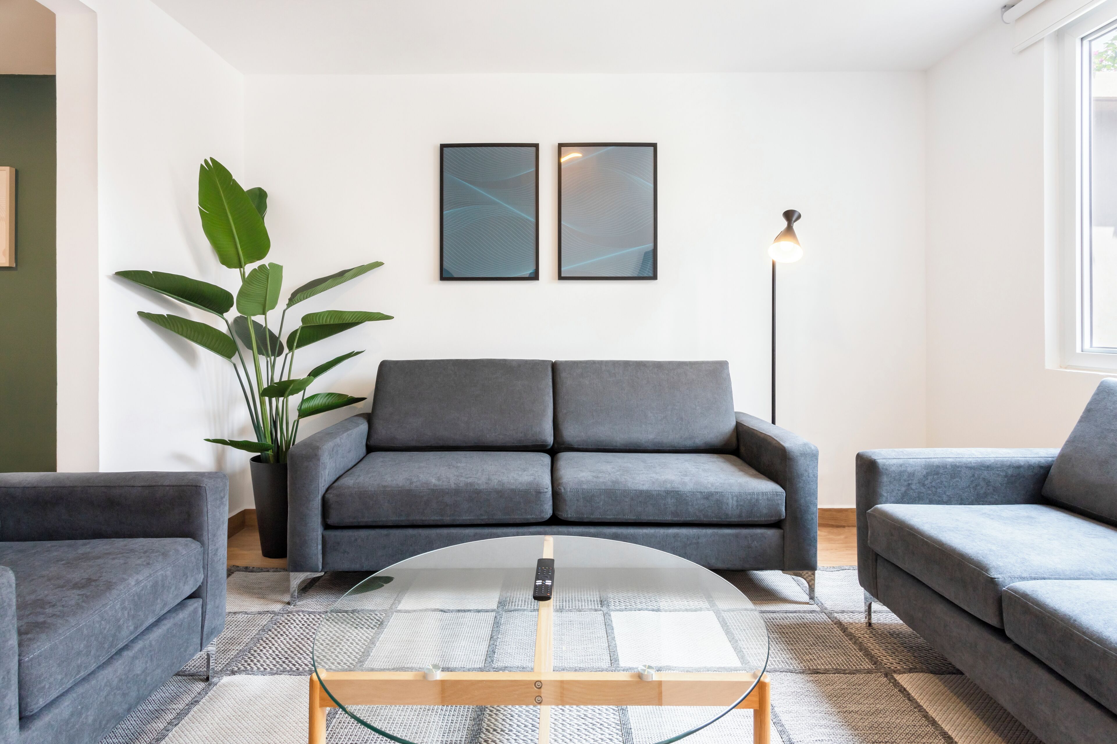 Una sala de estar moderna con un sofá gris, una mesa de centro y una planta en maceta.