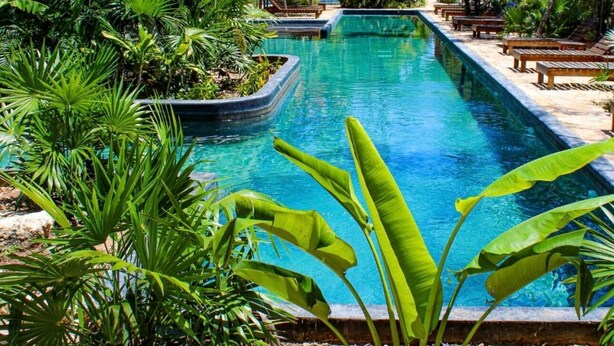 Une piscine rectangulaire entourée d’une végétation luxuriante et agrémentée de bancs en bois.