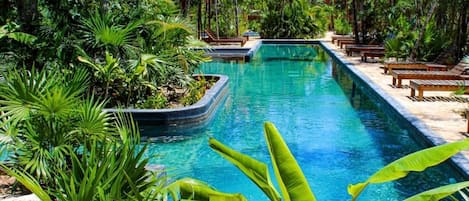 A rectangular pool surrounded by lush greenery and wooden benches.