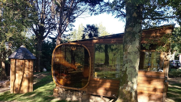 A wooden cabin with a large window, surrounded by trees and a grassy area.