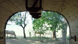 A rustic wooden room with a table and benches, a view of a grassy area with trees and a cow in the distance.