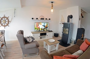 Tv, eldstad, dvd-spelare och böcker