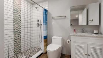 Douche, sèche-cheveux, serviettes fournies, shampoing