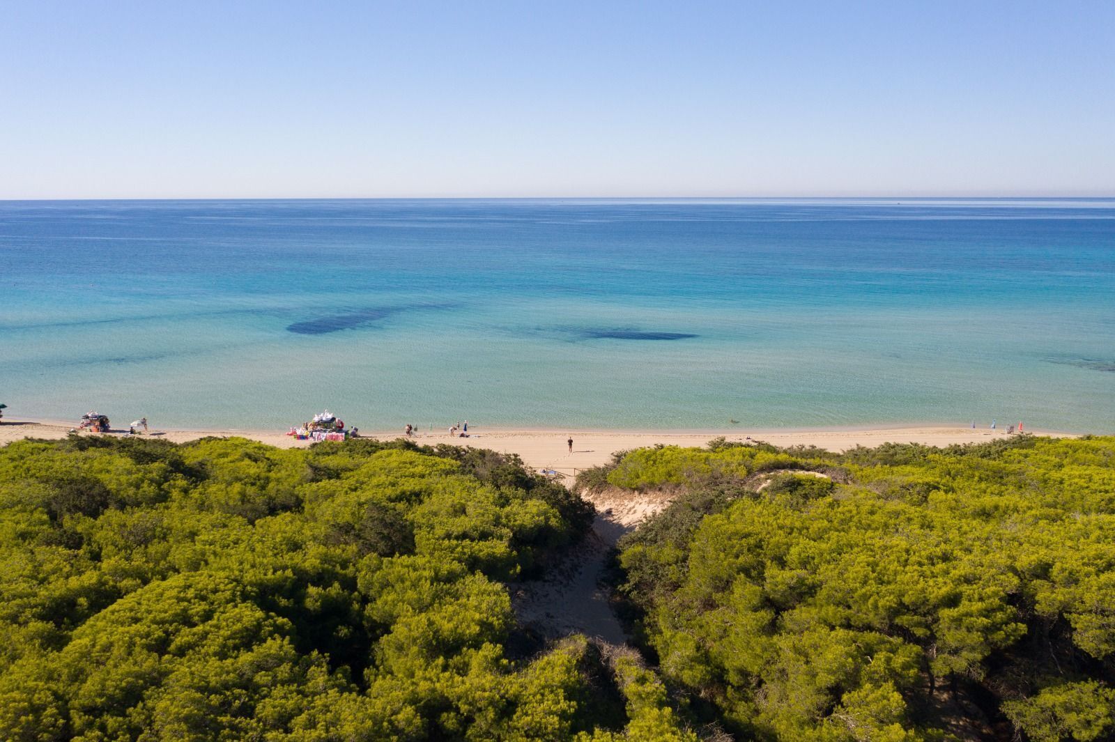 Ein Strand mit klarem türkisblauem Wasser, grüner Vegetation und einigen Personen.