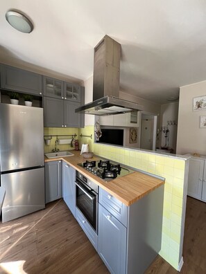 Private kitchen - San rossore area apartment. Ideal for couples, families and business stays (Pisa)