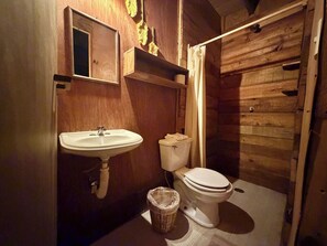 Douche, serviettes fournies, savon, shampooing