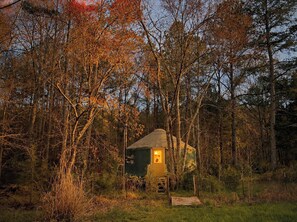 A small cabin surrounded by trees.