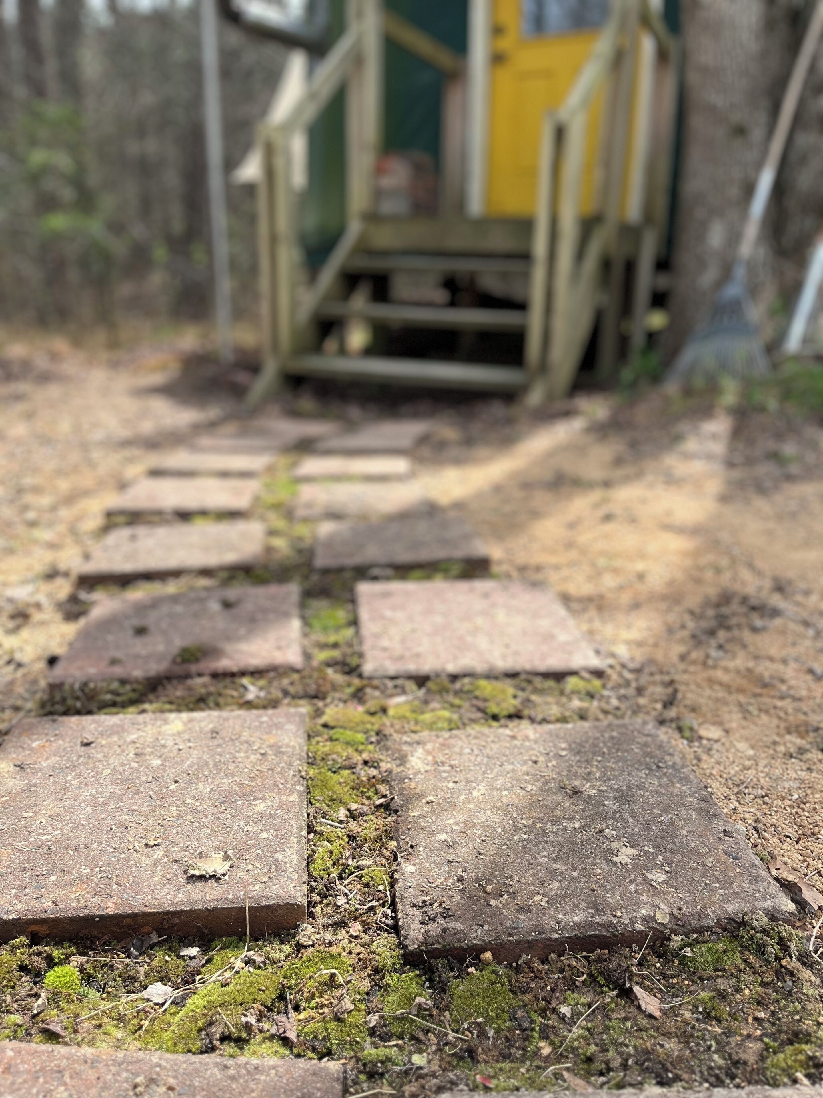 A stone pathway leading to a wooden structure with a yellow door.