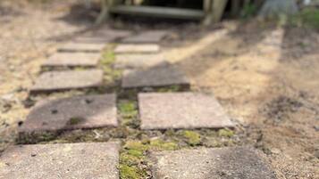 A stone pathway leading to a wooden structure with a yellow door.