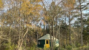 A small, single-room cabin with a green roof and a yellow door, surrounded by dense forest. - Relax in a Cozy, Skylit Yurt at a Farm Animal Sanctuary (Pittsboro)
