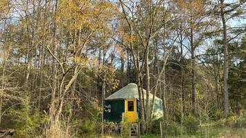 A small, single-room cabin with a green roof and a yellow door, surrounded by dense forest.