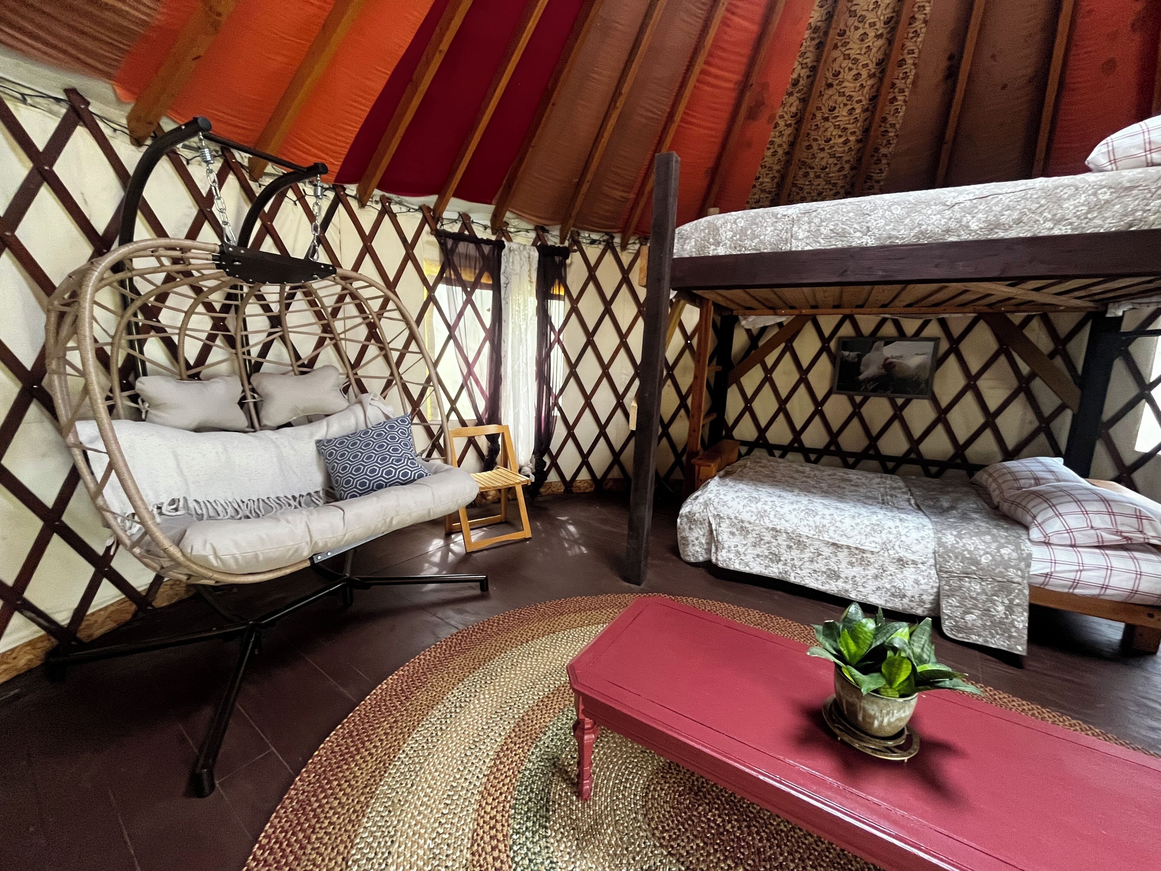 Un interior acogedor con una silla colgante, un banco y una cama.