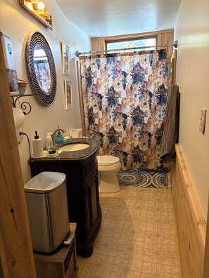 Hair dryer, towels, soap, toilet paper - Lakehouse Mansion Farm (Newport)