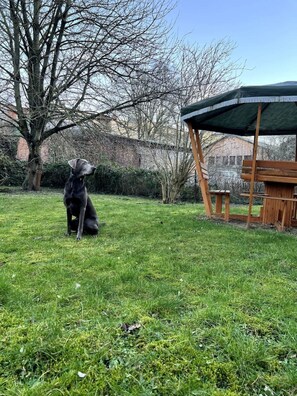 Overnatningsstedets område