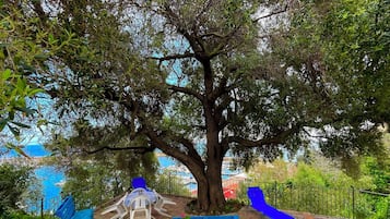 Terrazza/patio