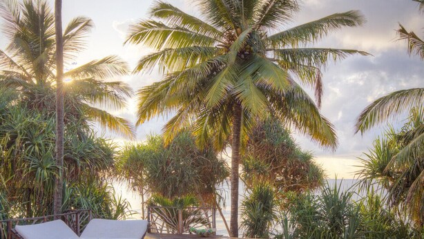 Un espace aménagé au bord de la piscine, avec des chaises longues et des palmiers.
