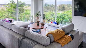Una televisión, una chimenea