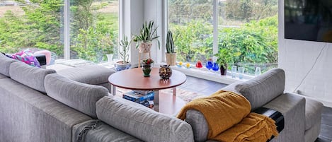 TV, fireplace