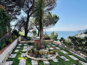 Un jardín con senderos de piedra, un cactus y vista al mar.