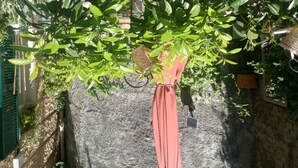 A potted plant with green leaves in a garden area. - Apartmán s vlastným parkovaním a terasou. 5 minút od centra a starého prístavu! (Genova)
