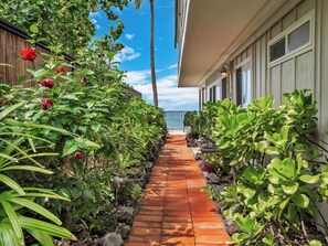 Un sendero bordeado por exuberante vegetación y una valla de madera, que conduce a un edificio con grandes ventanales y un balcón con vistas al mar.