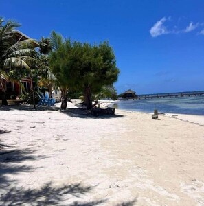 Beach - Milton 1 Br Quiet Beachfront Pool Dock (José Santos Guardiola)