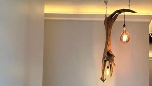 Un couloir doté d’un plancher en bois, d’un luminaire fixé au mur et d’un tableau représentant un palmier.