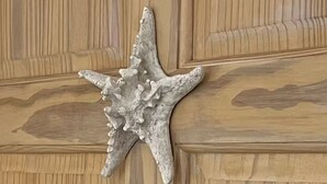 A wooden panel wall with a textured starfish decoration. - Dover Apt #3, Beach 5 mins, St Lawrence Gap (Oistins)