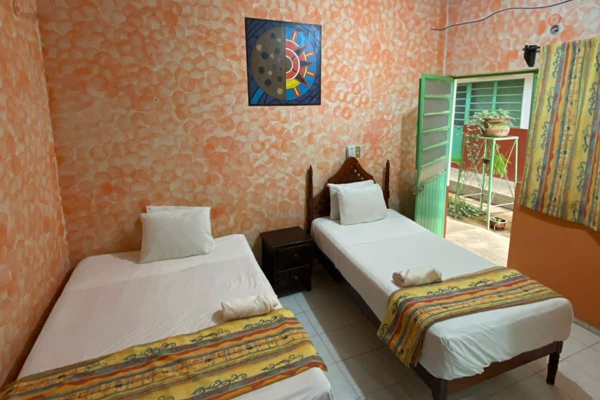 Habitación básica con 2 camas individuales, patio, vista al jardín