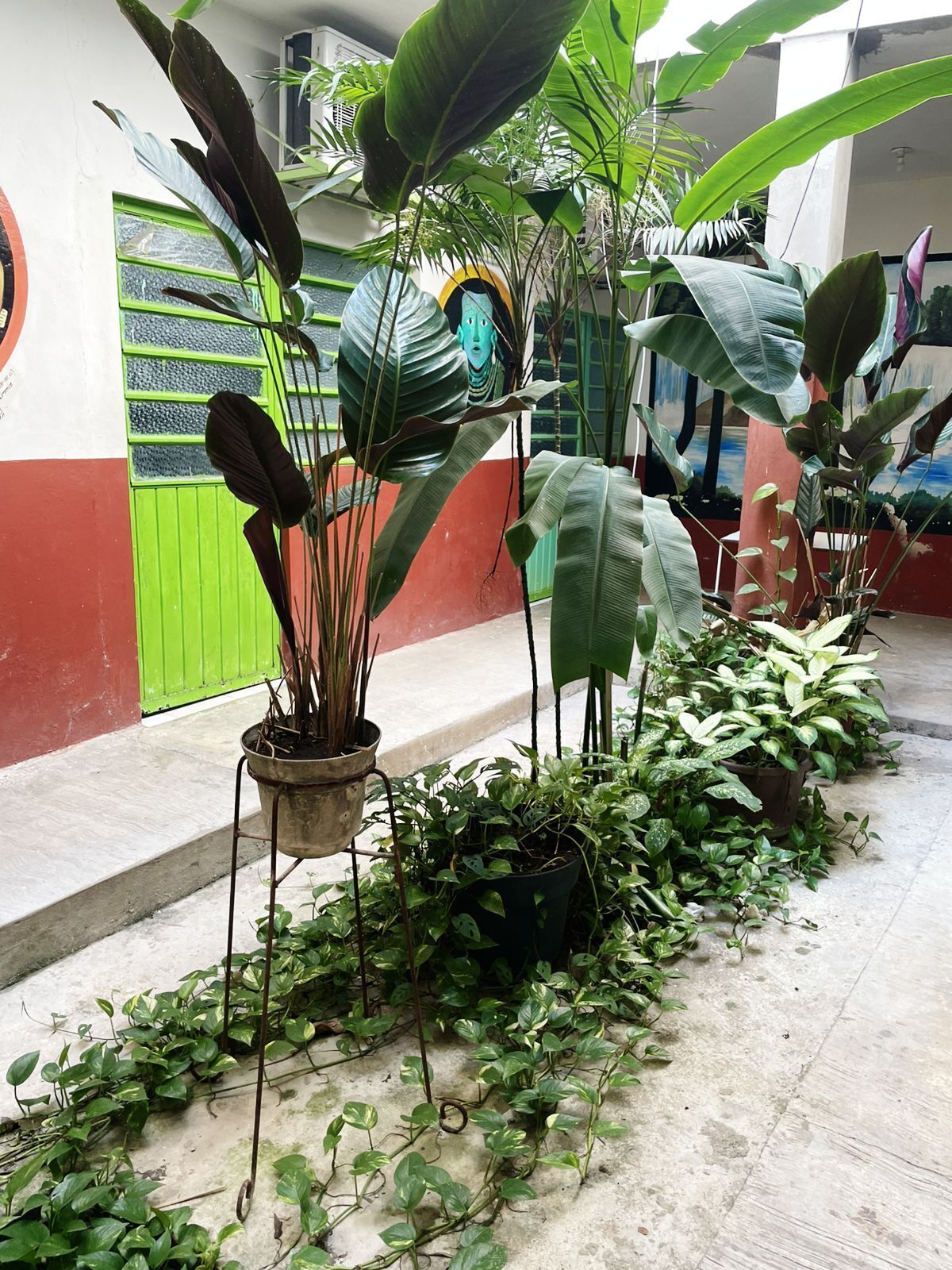 Áreas de la propiedad