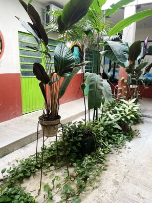 Jardines del alojamiento