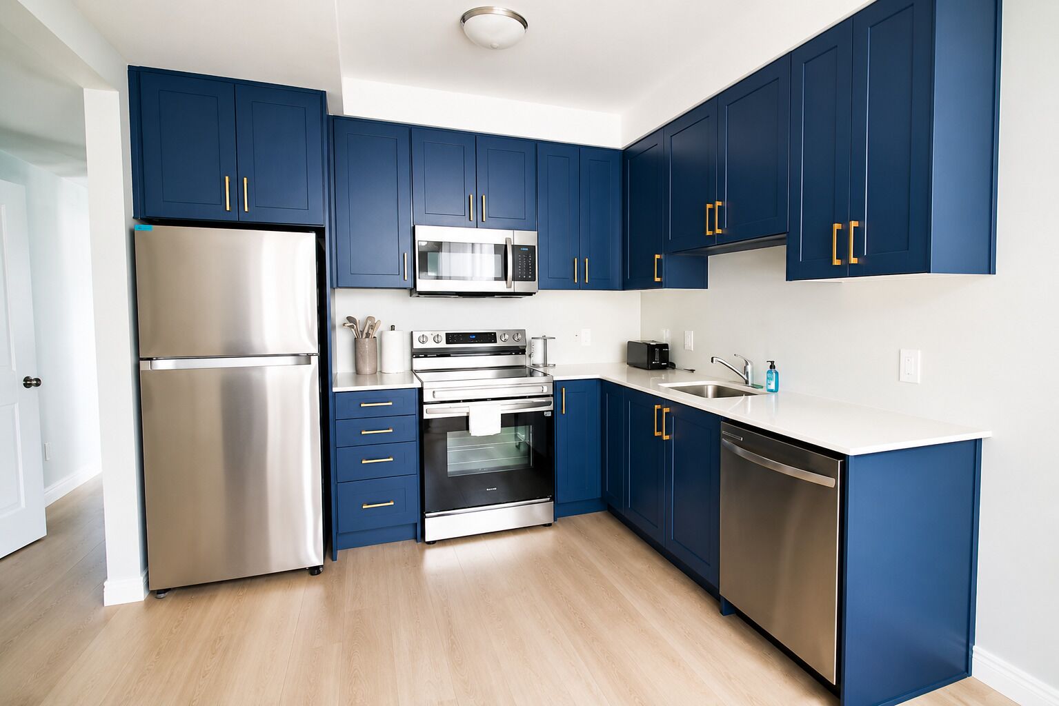 Fridge, oven, stovetop, dishwasher