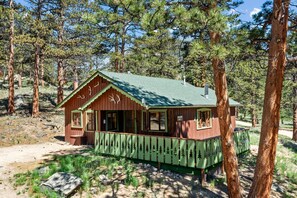 Une cabane en bois avec un toit vert, entourée de pins.