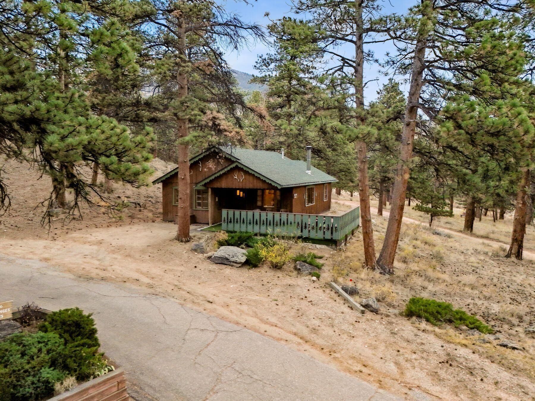 Cabin retreat surrounded by towering pine trees
