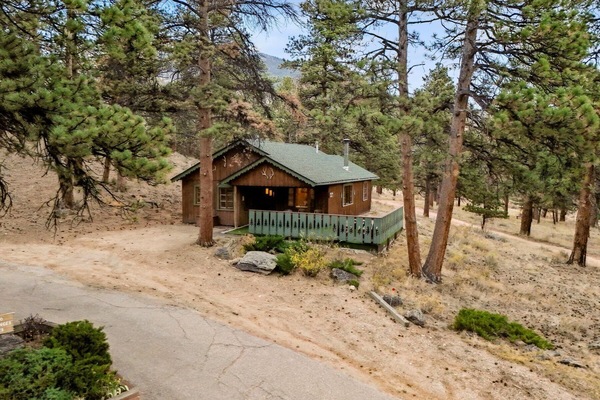 Cabin retreat surrounded by towering pine trees